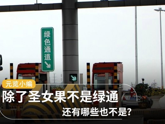 ca88科普：除了圣女果不是绿通 还有哪些也不是？